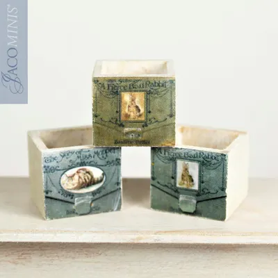 BPC 17 Cajas Beatrix Potter
