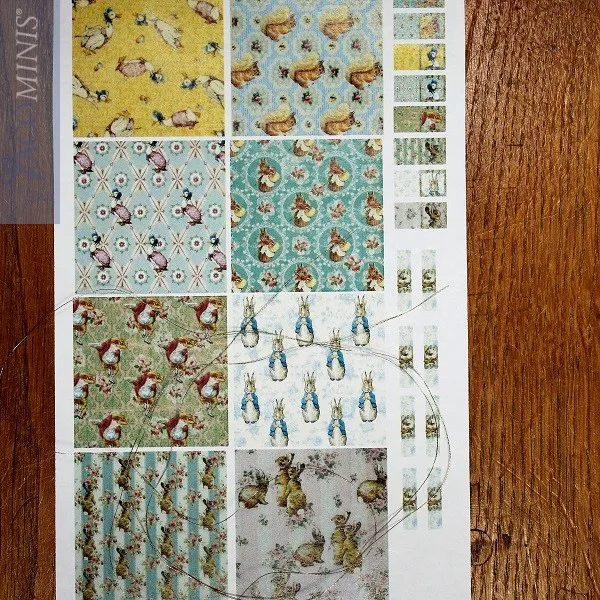 BPC 22-A Papel de regalo de Beatrix Potter